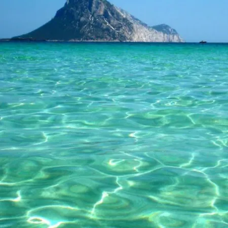 Bilocale Arancio In Zona Residenziale Appartement Olbia
